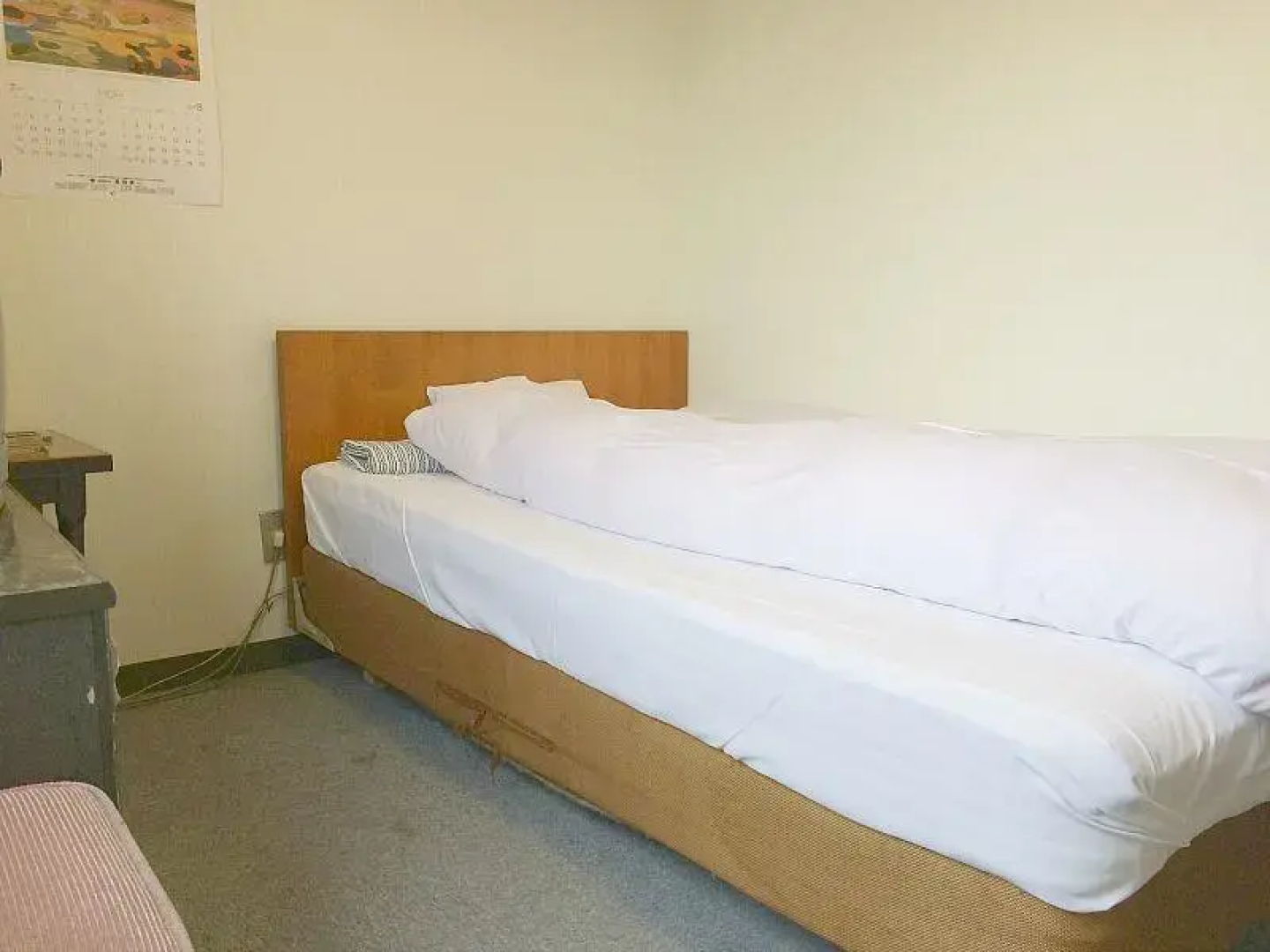 Business Hotel Shimpaku