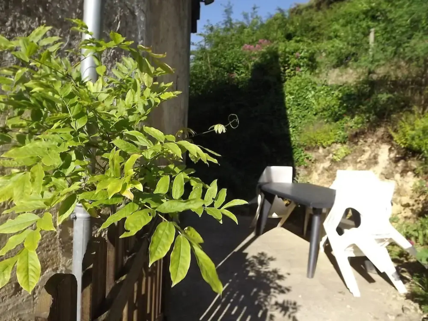 Gite du Vignoble Carême