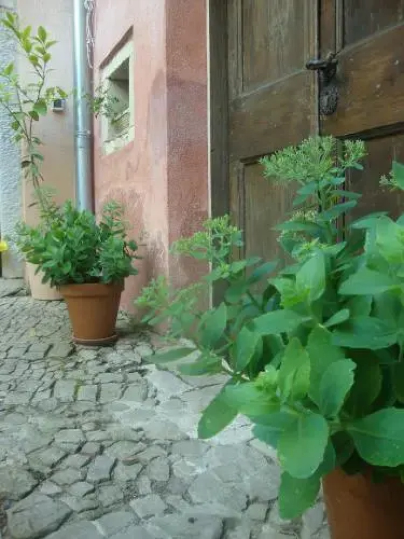 Bed & Breakfast Antico