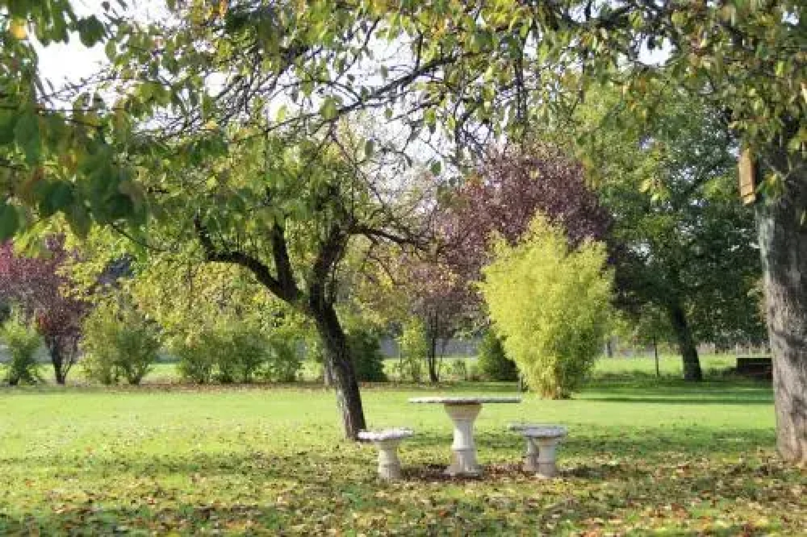 Sous Le Figuier