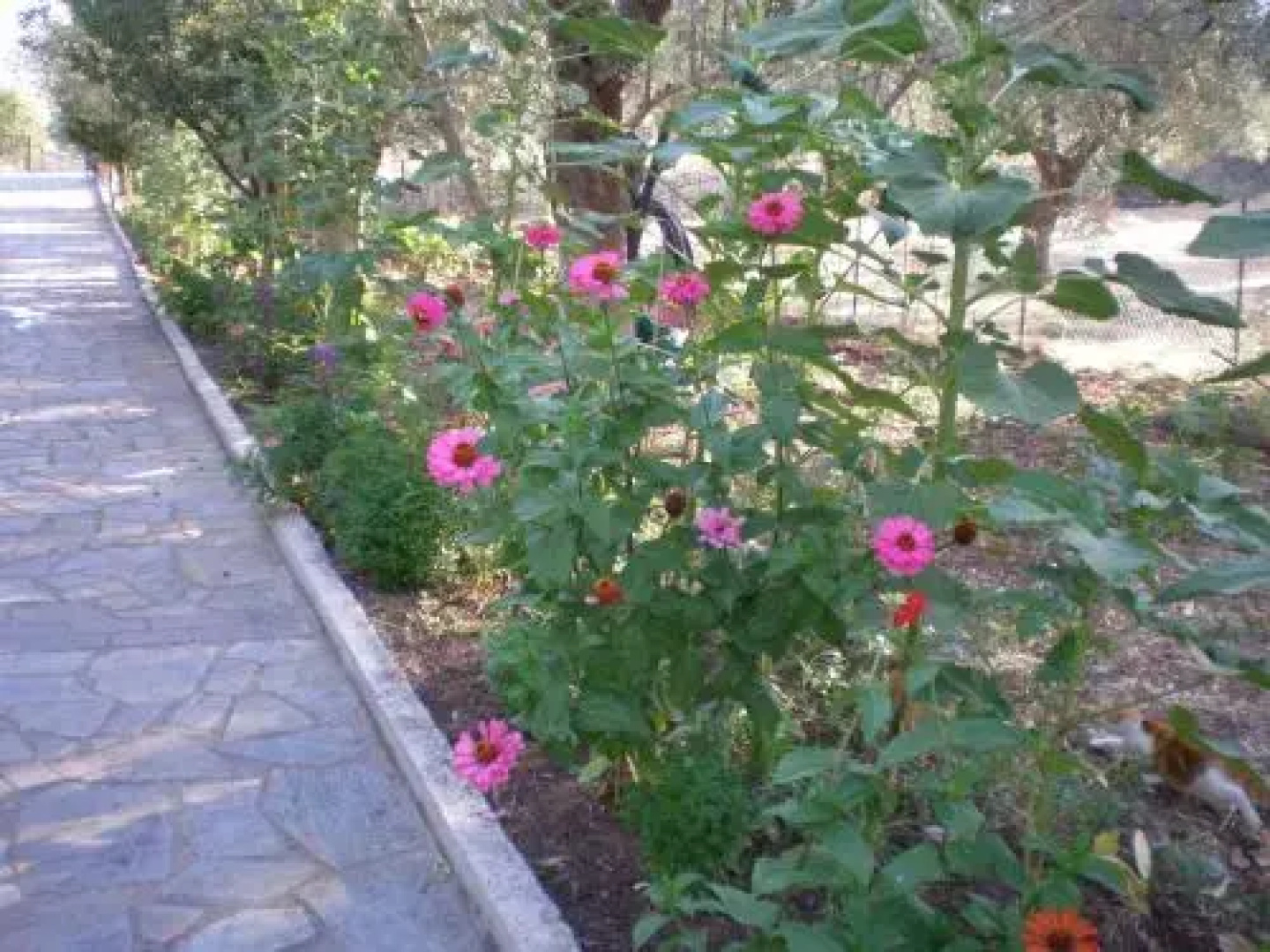 Vasiliki Studios