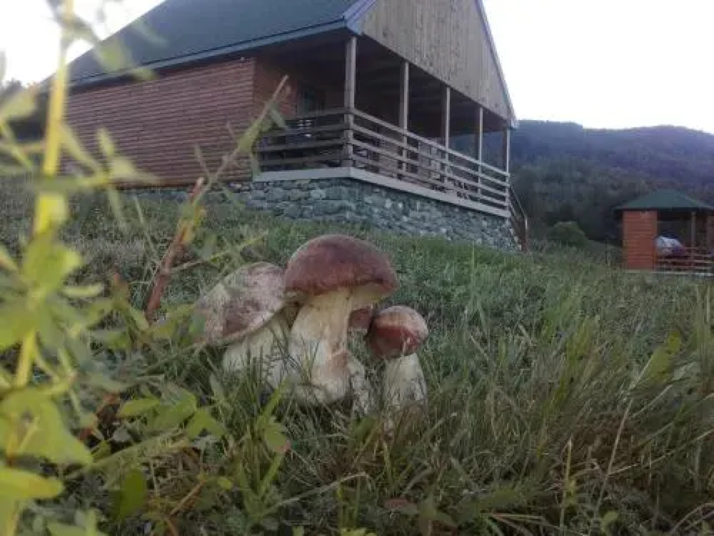 Country House Eco village Ćorić