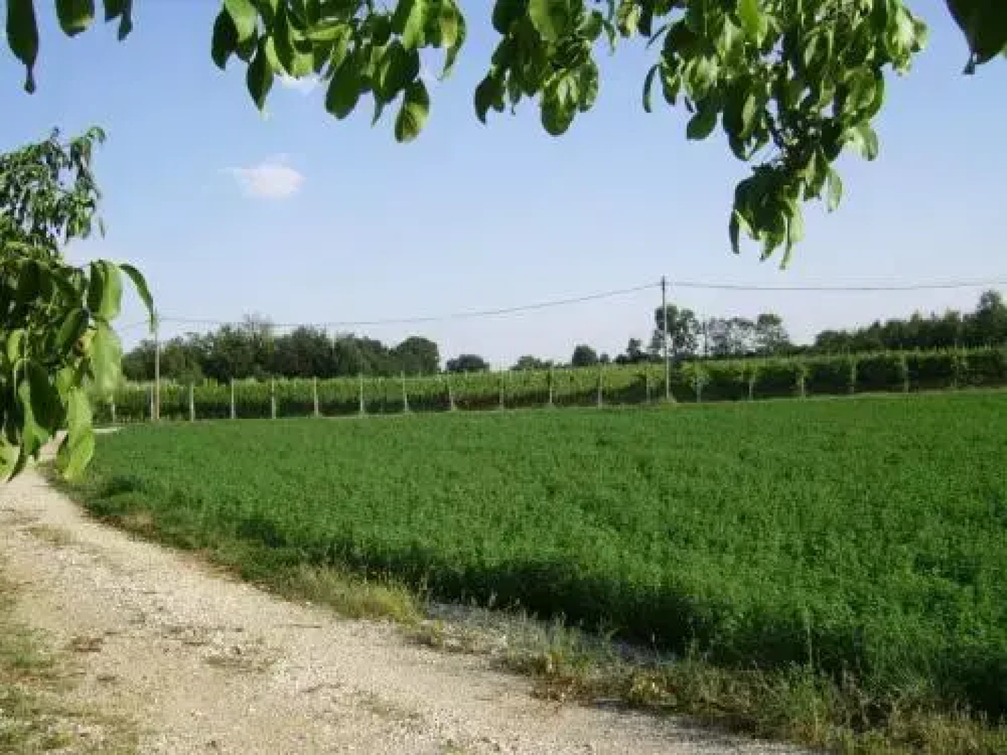 Agriturismo La Falcadura