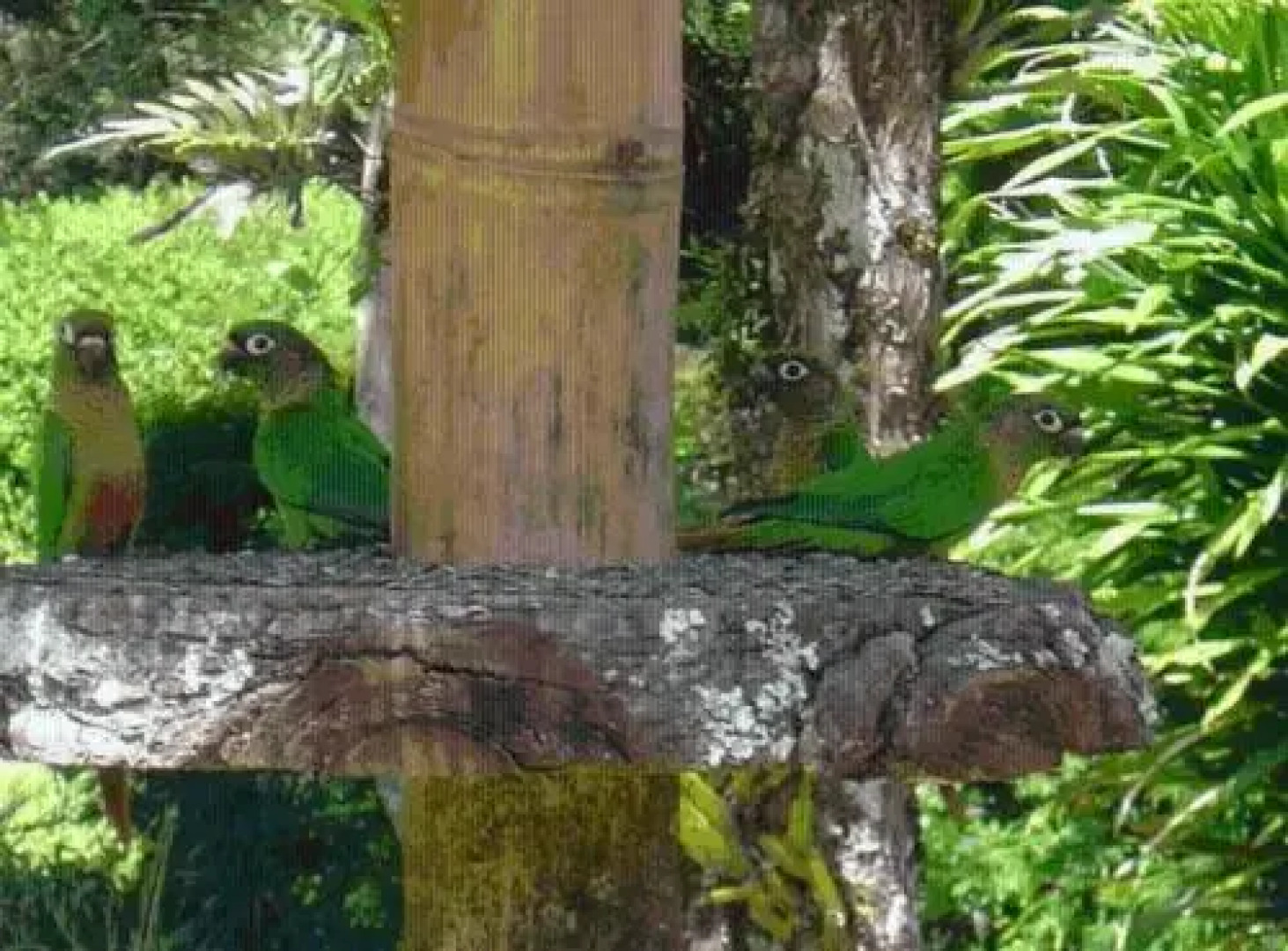 Hotel Refugio dos Falcoes