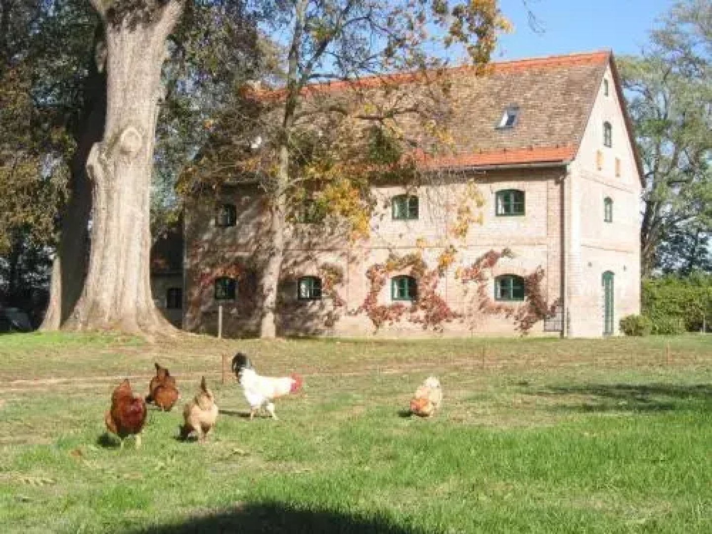 The Bat Barn