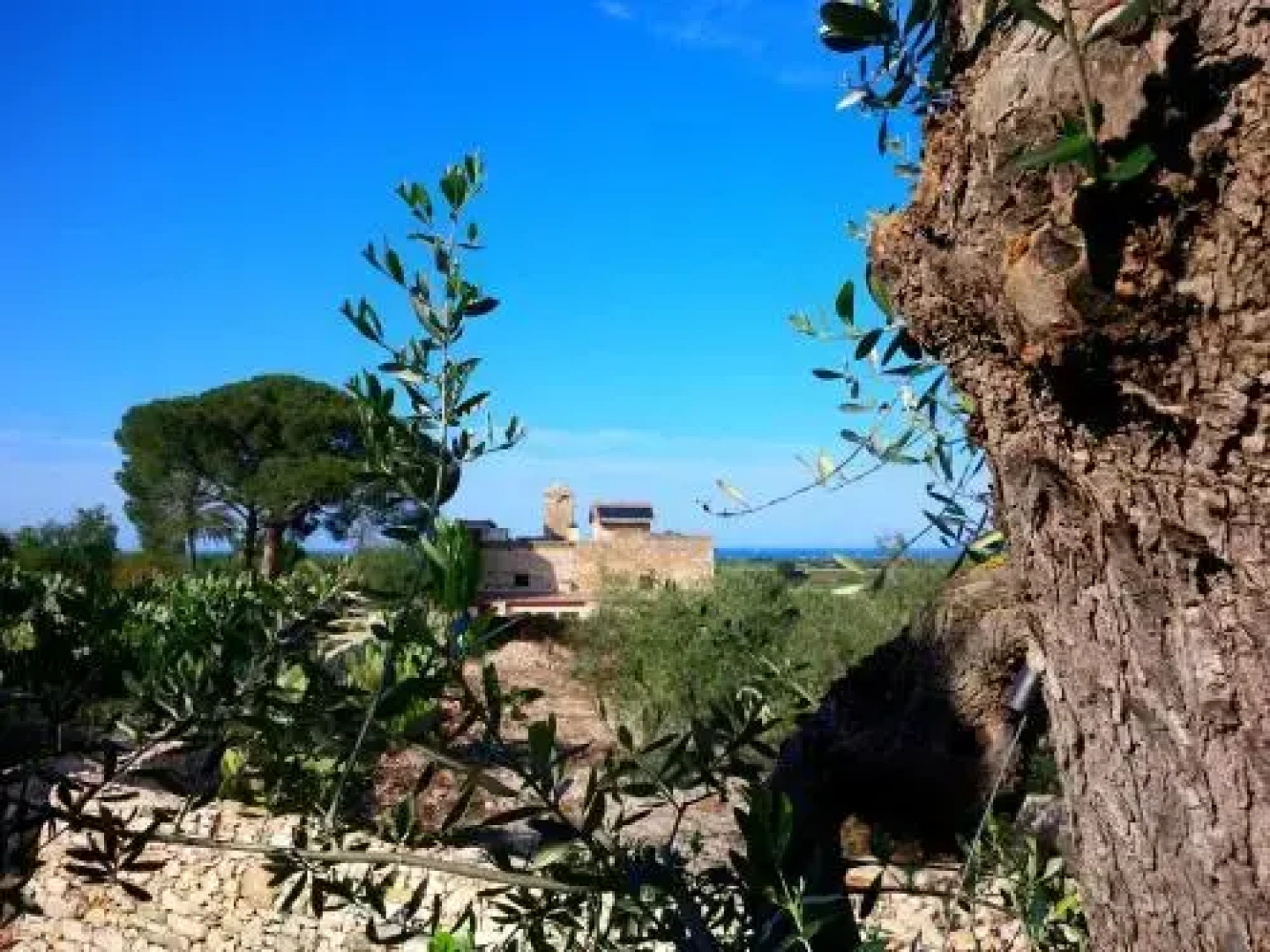 Posta Santa Croce - Ospitalità In Masseria