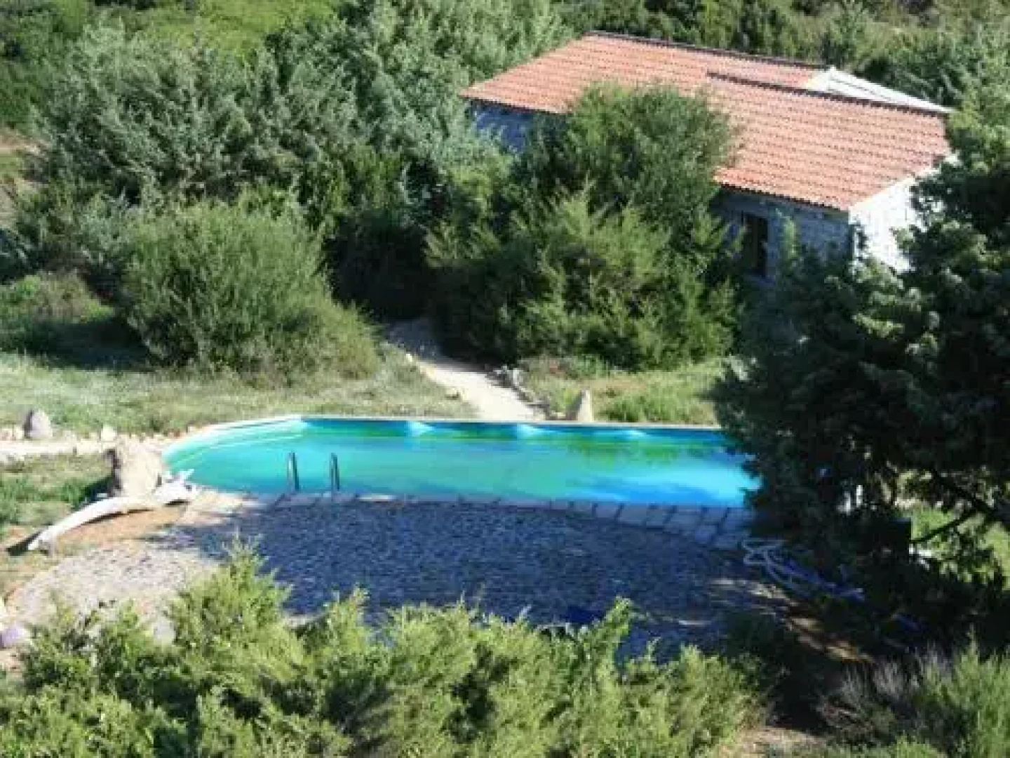 Mare Di Ginepri