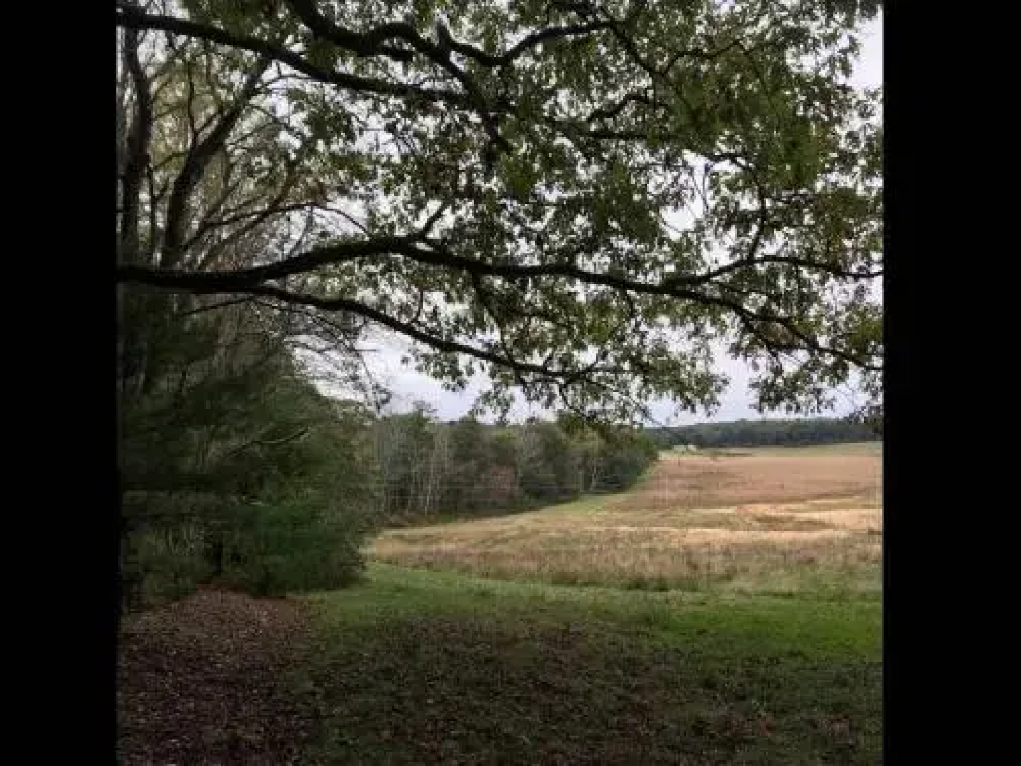 Tentrr - Halfmoon Hollow- Campsite