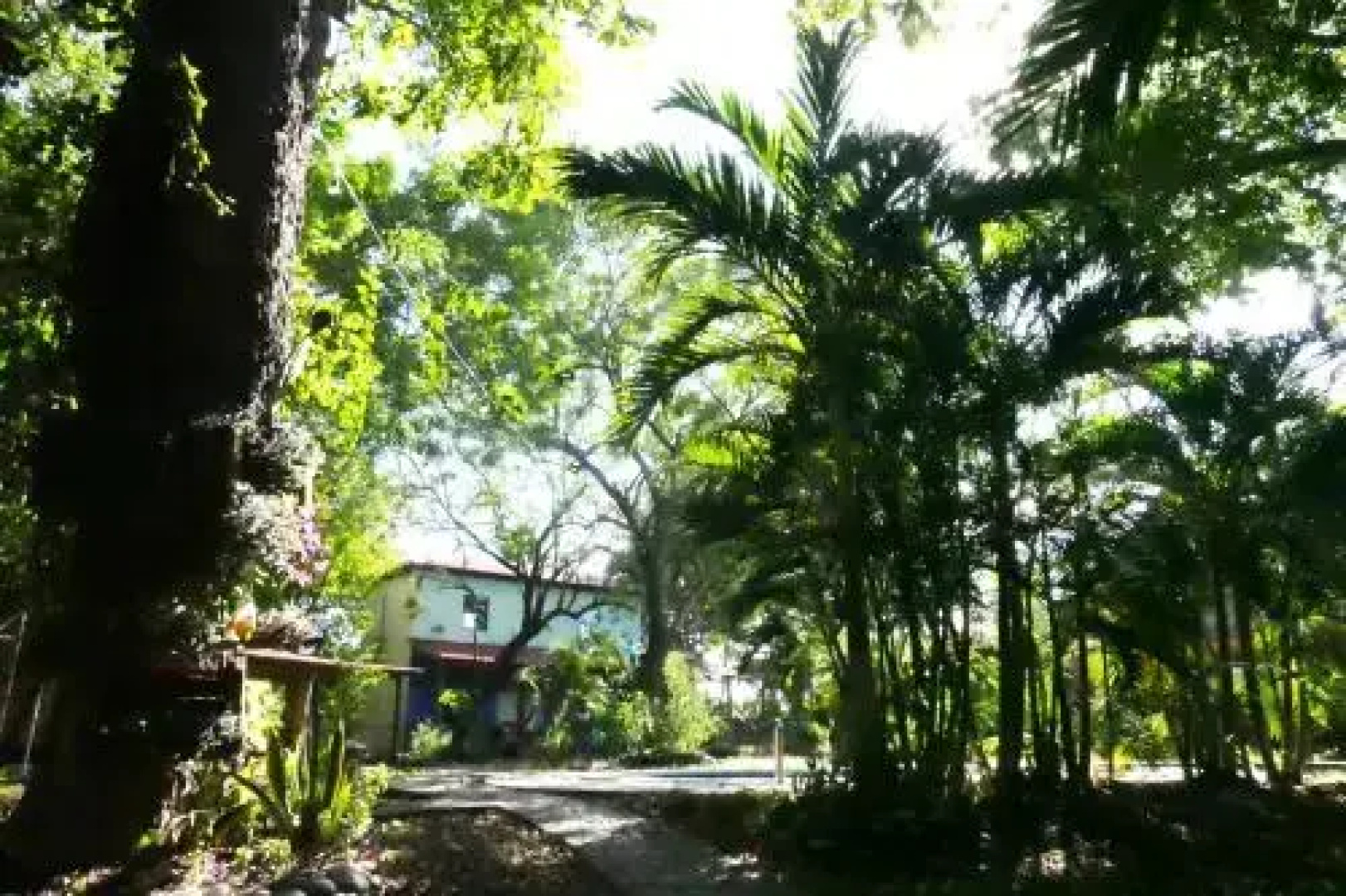 Hotel Mopelia - El Tunco