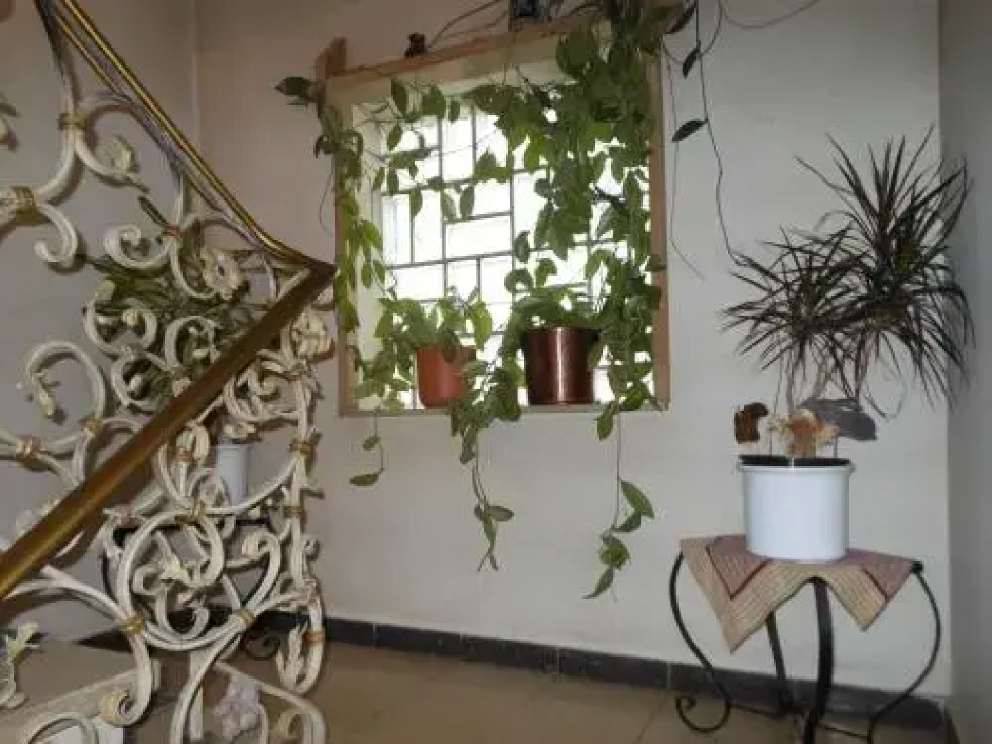 Ferienwohnungen Veronika