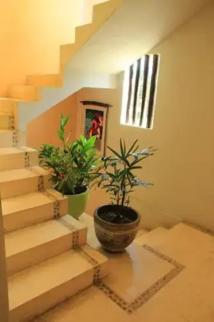 Casa Nora