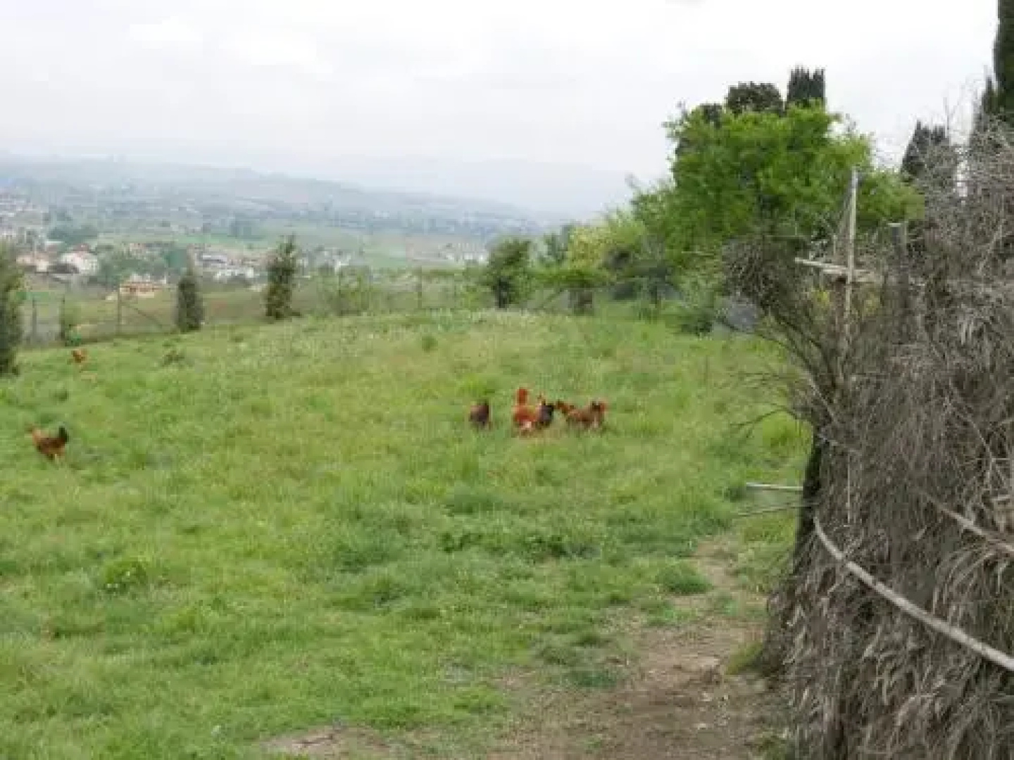 Agriturismo Il Paretaio