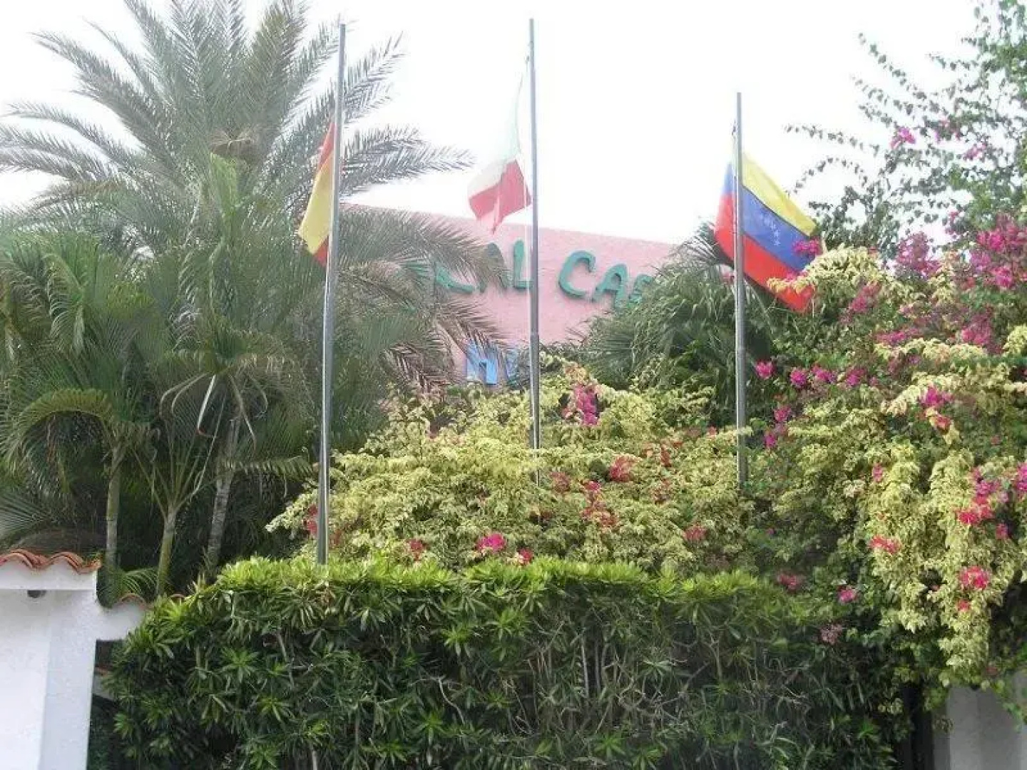 Coral Caribe