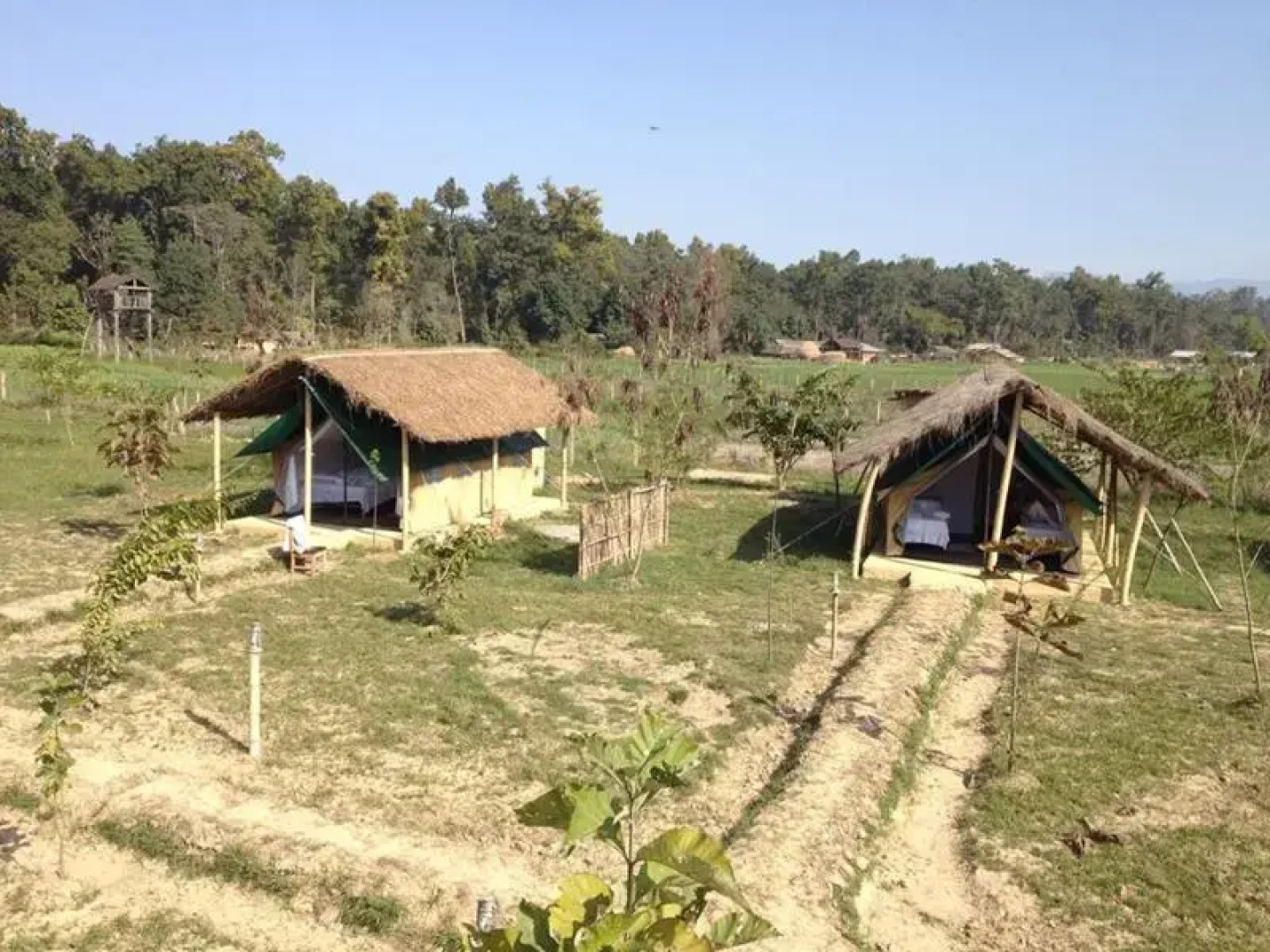 Karnali Jungle Camp