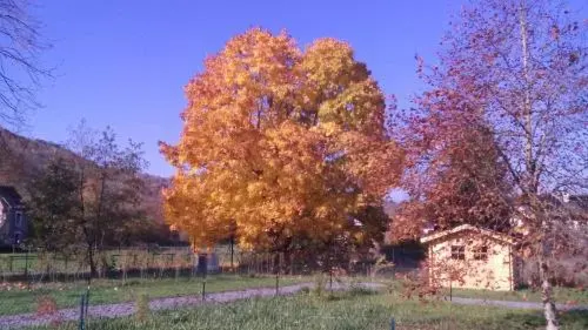 Domaine du Hulobiet