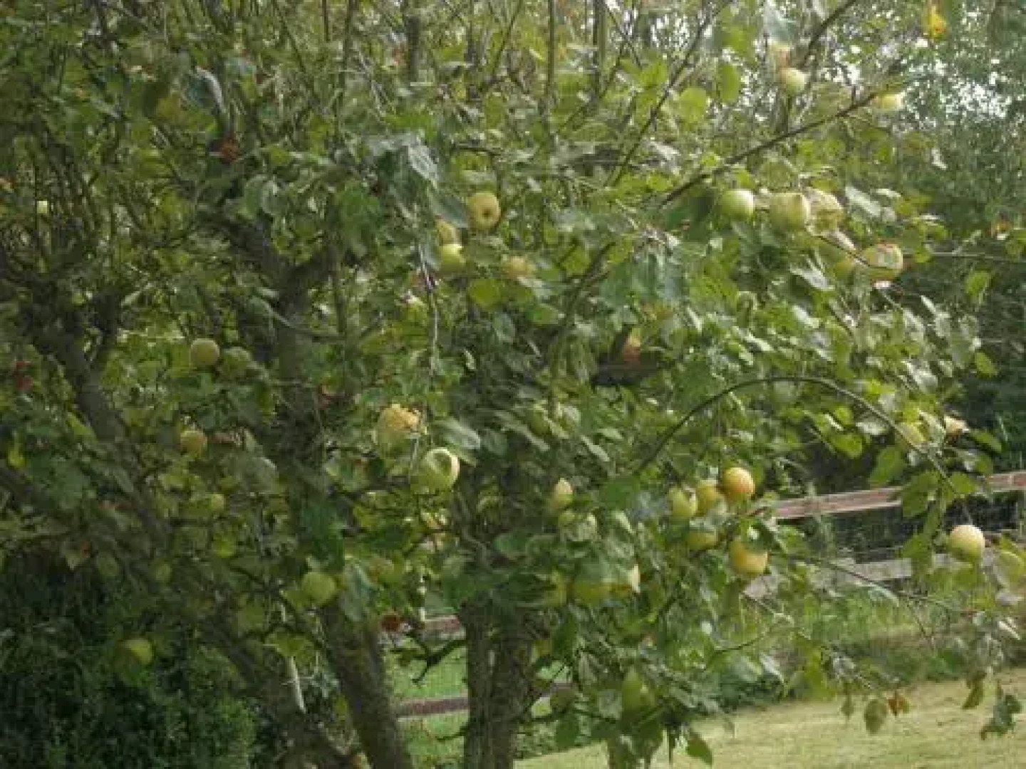 Gîte du Vieux Pressoir