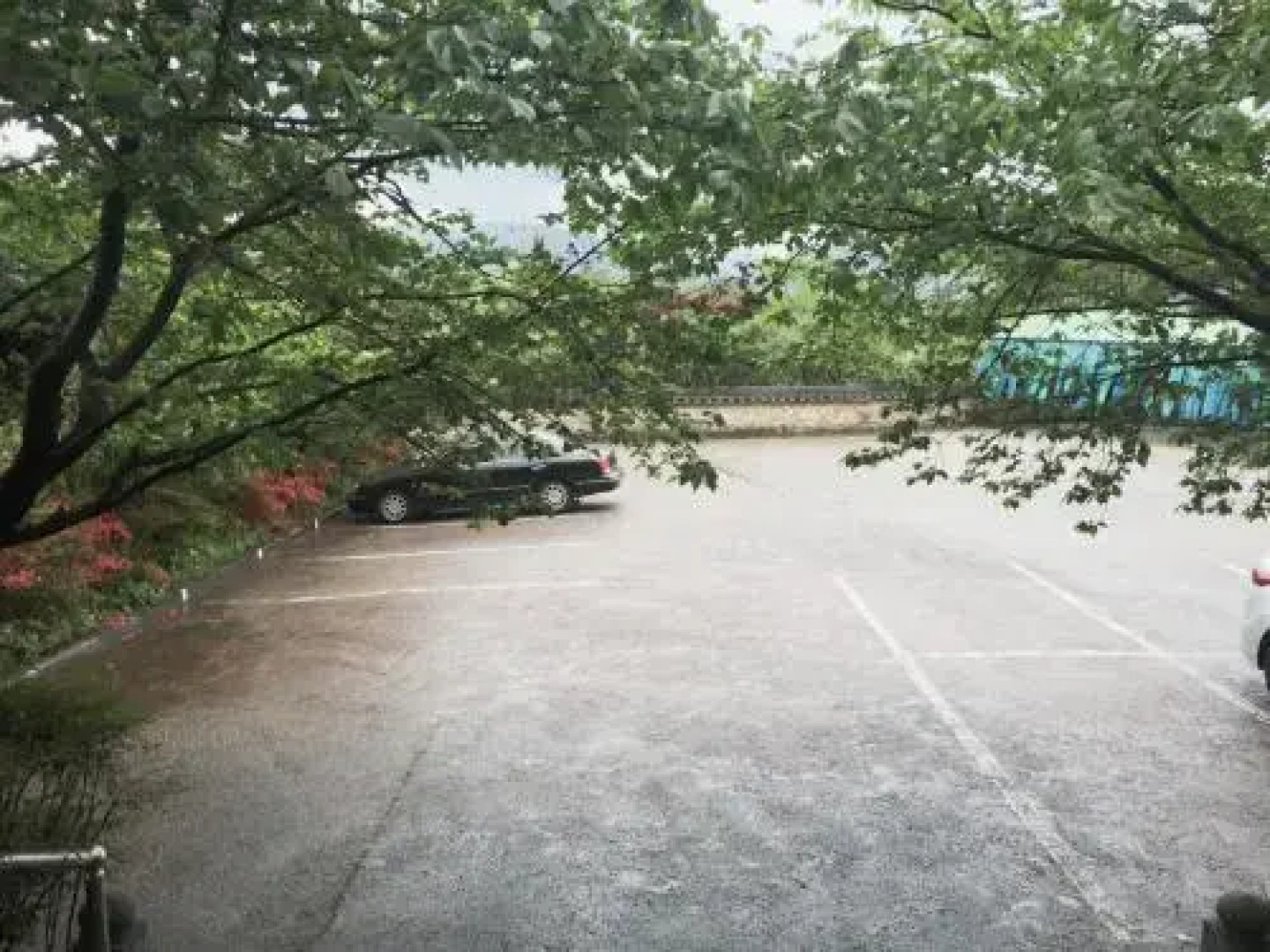 Charlotte Motel Gurye