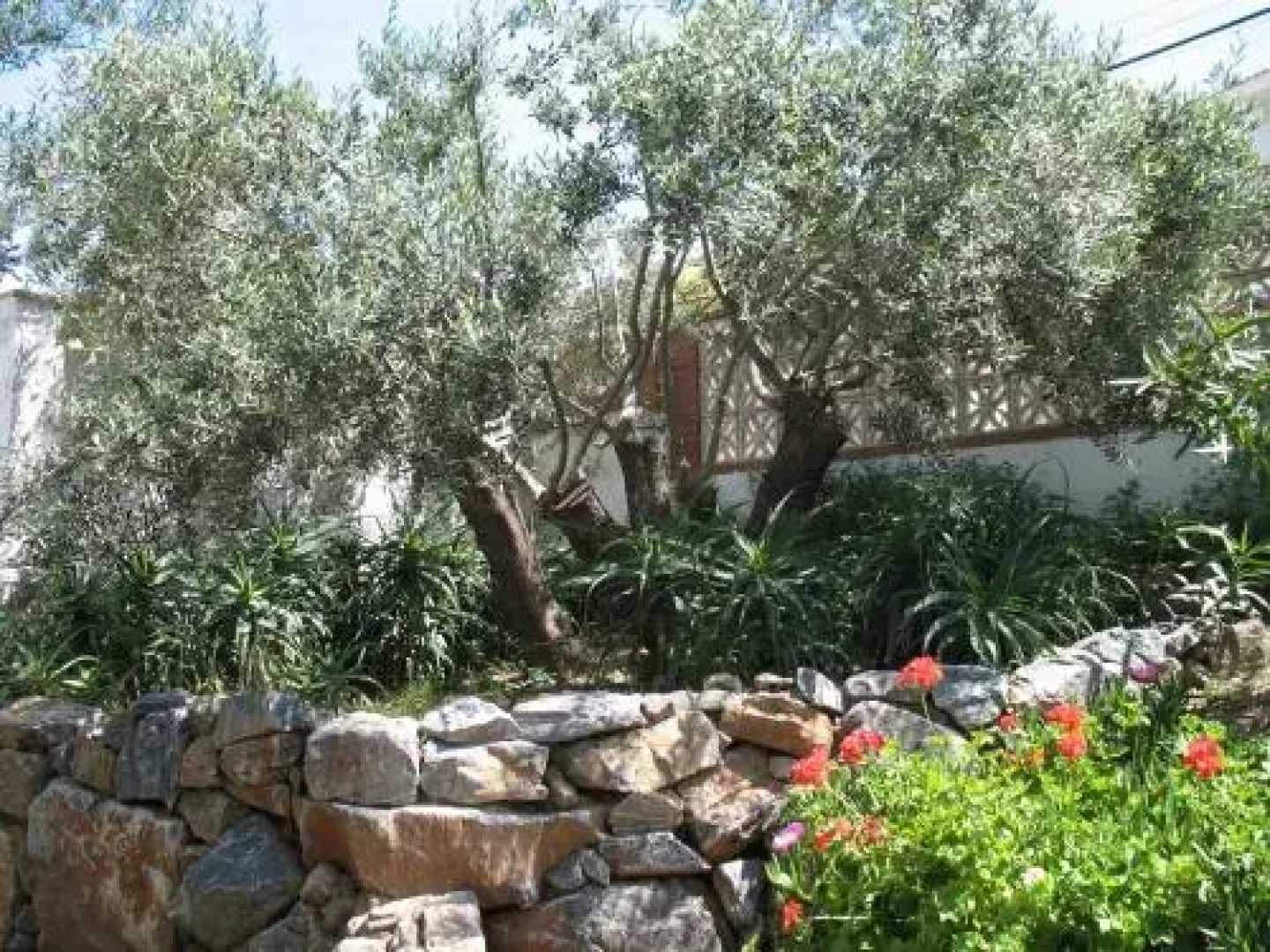 Villa Manzanilla