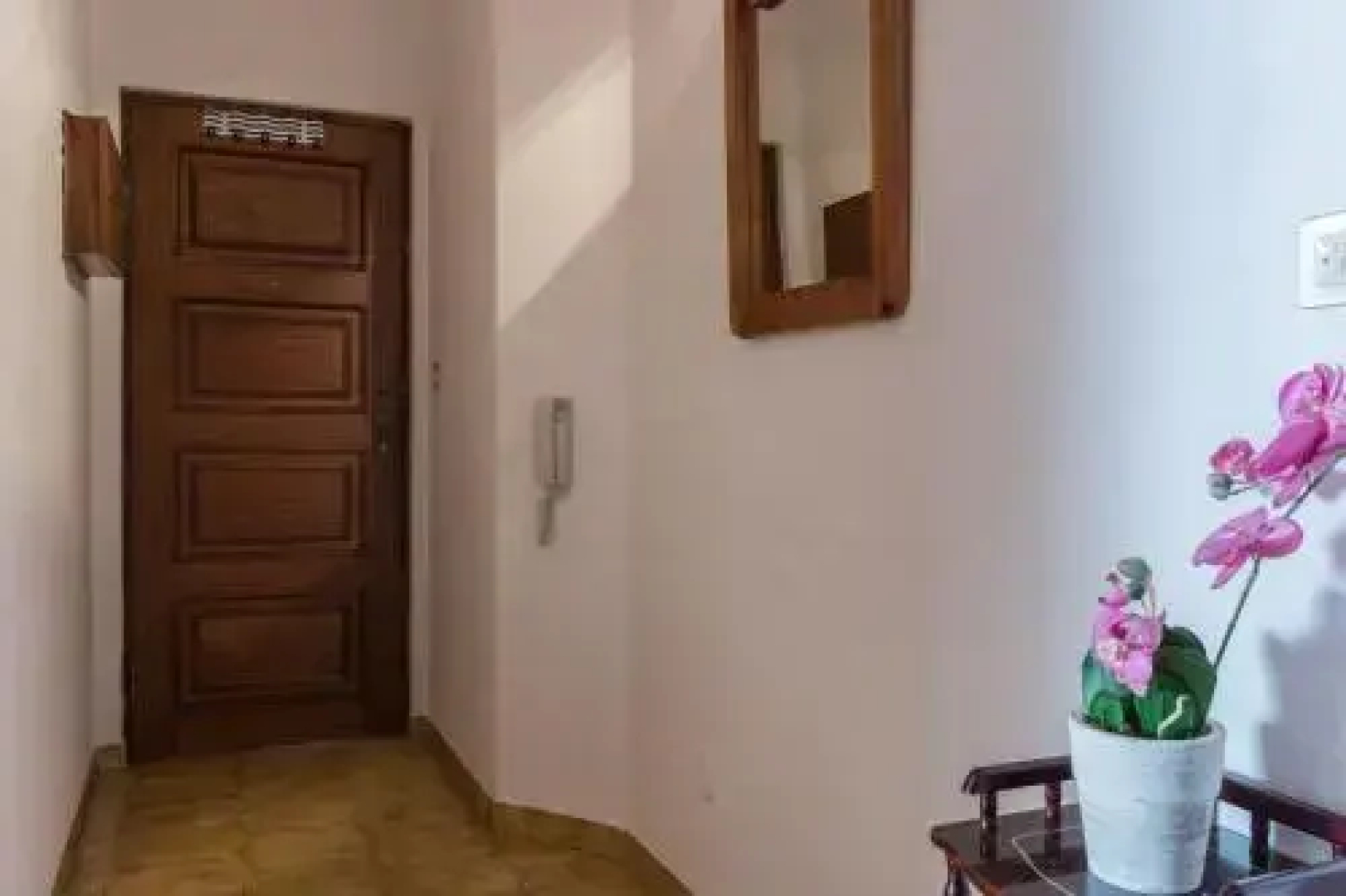 Akisol Monte Gordo Star