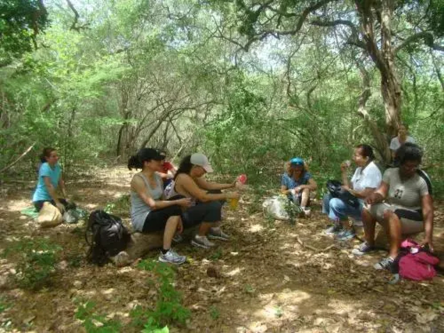 Bed & Breakfast, Land-house with Yoga-specials.