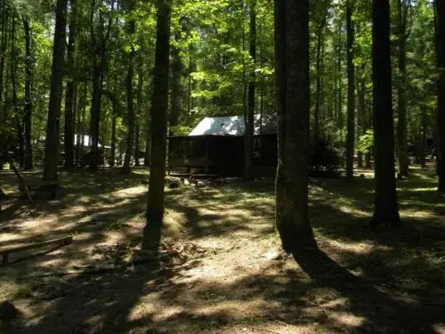 Cabin Fever - Saluda