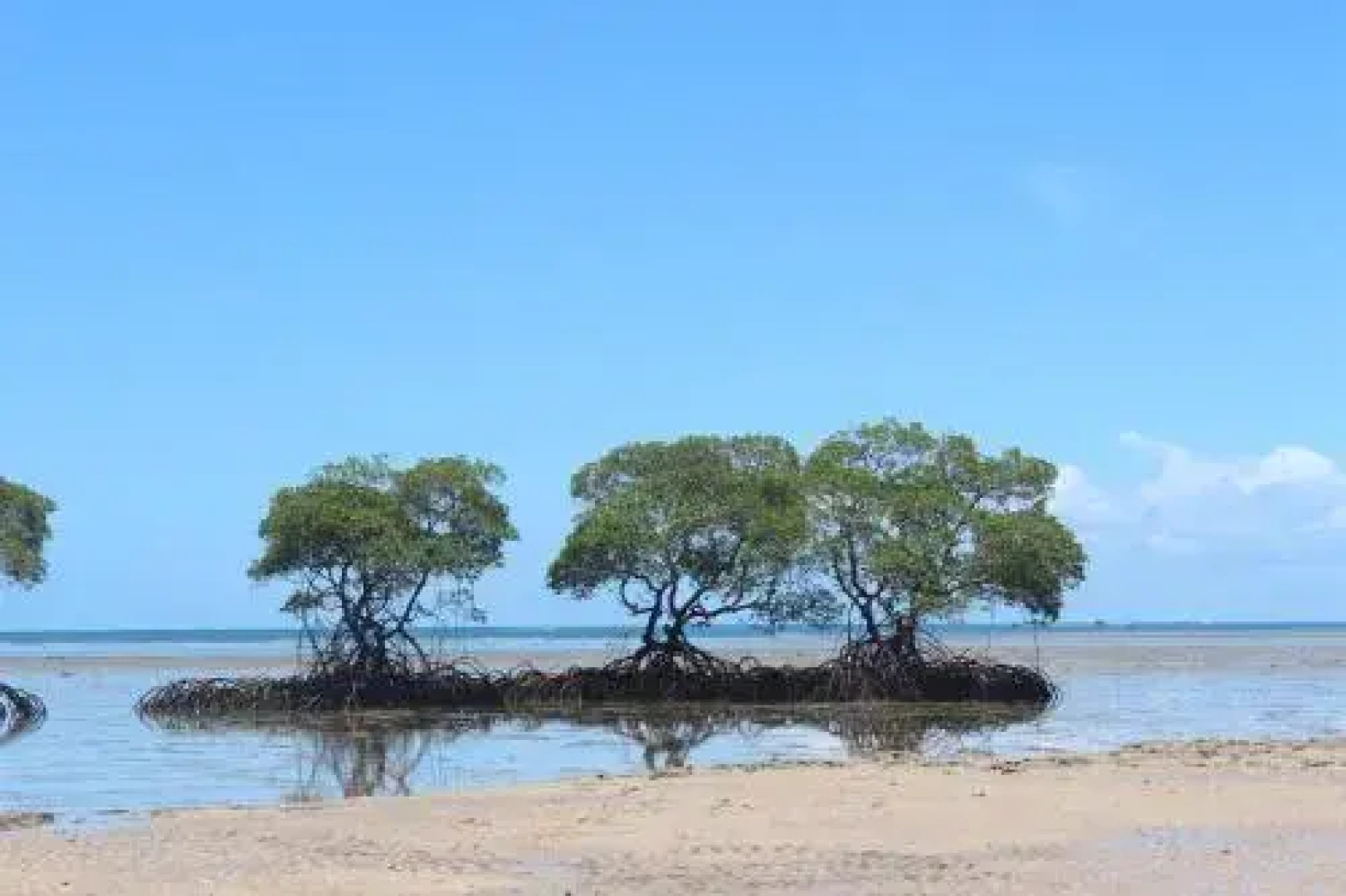 Pousada O Rancho Alegre