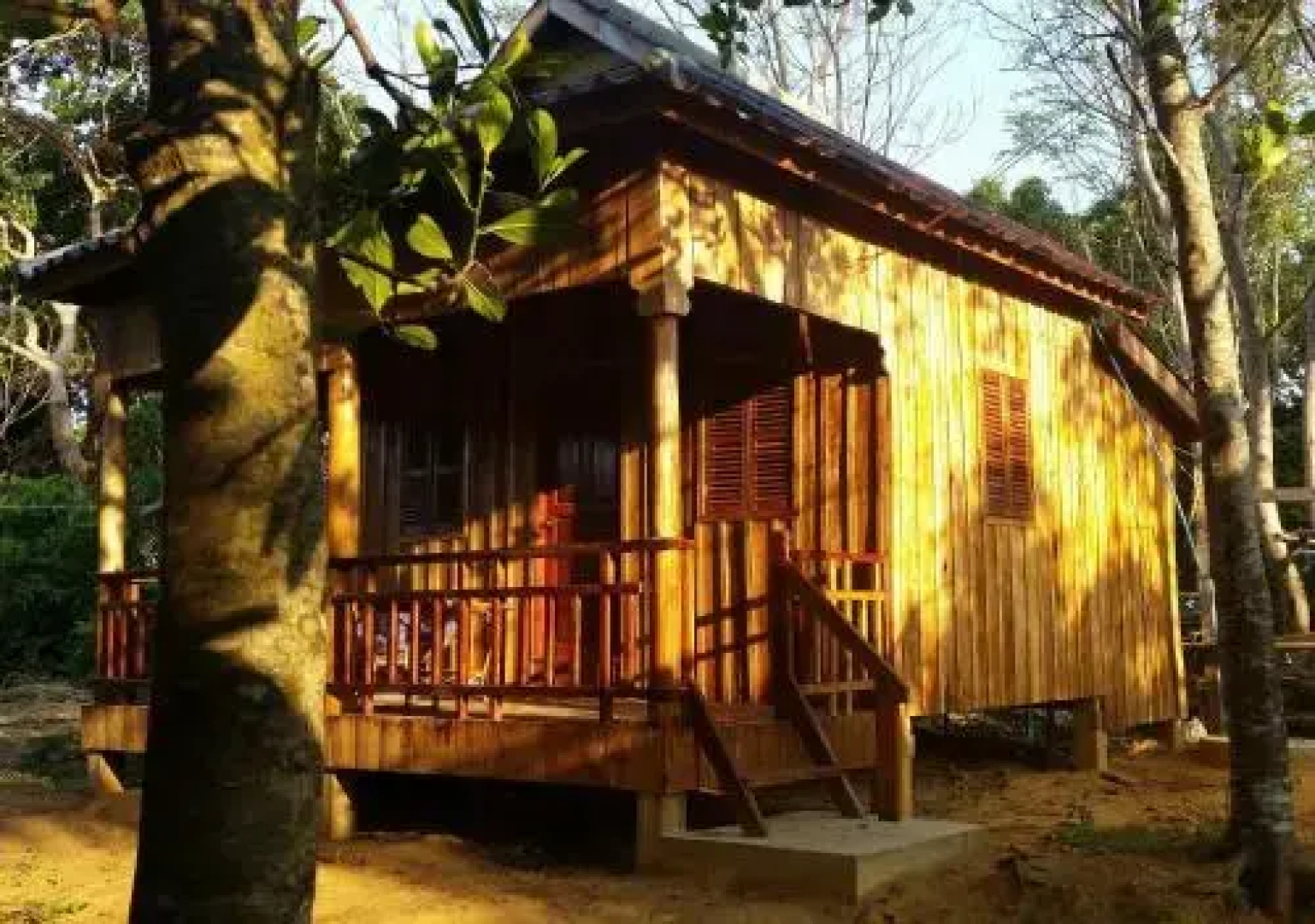 Easy Tiger Bungalows