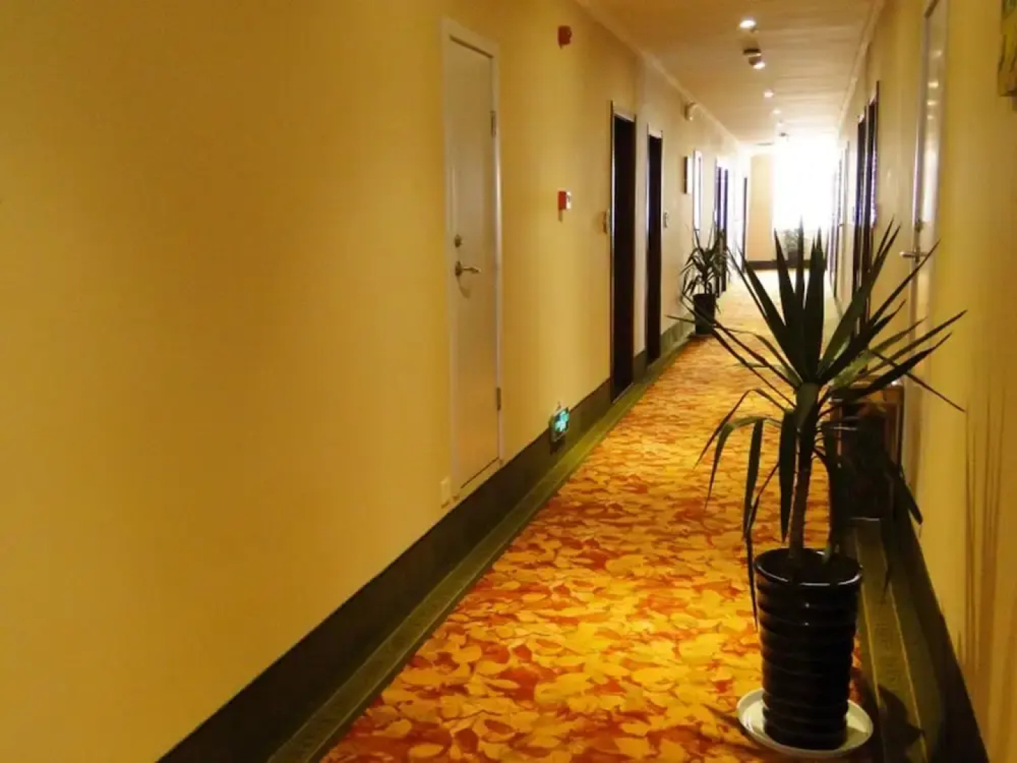 GreenTree Inn Bozhou Guoyang Shengli Road Fuyang Commercial Building Express Hotel