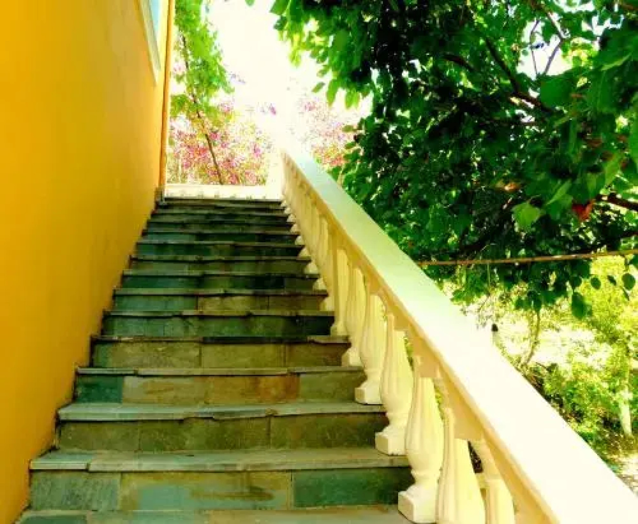 Villa Vania