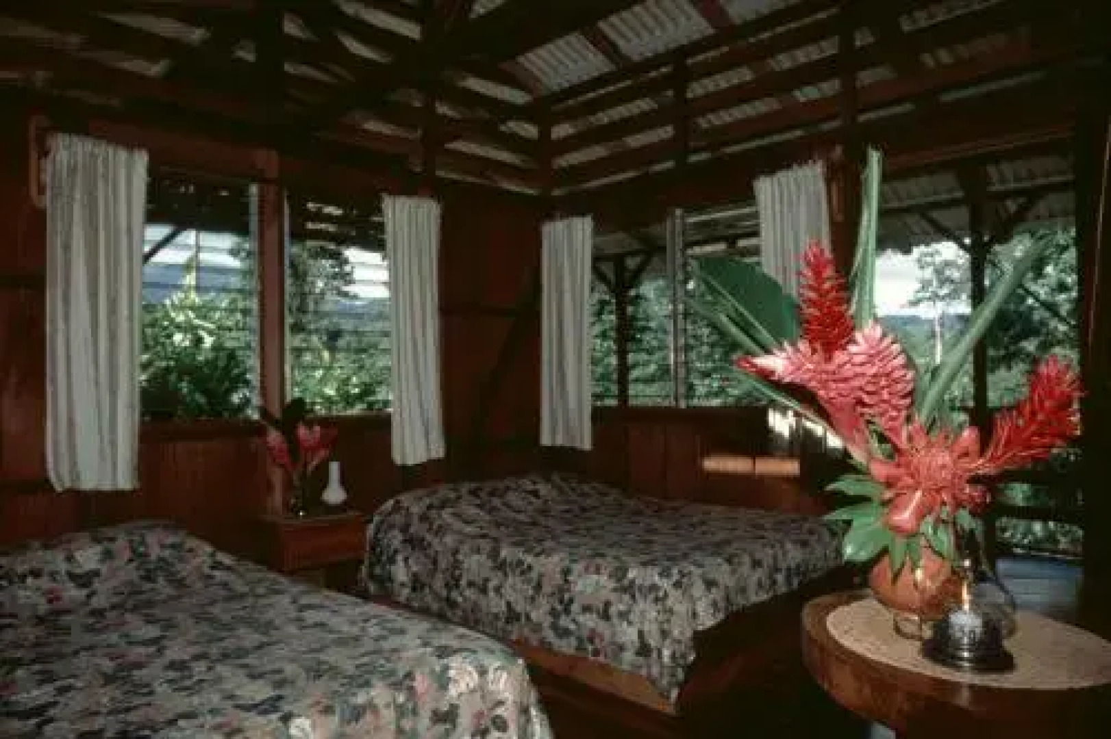 Selva Bananito Lodge