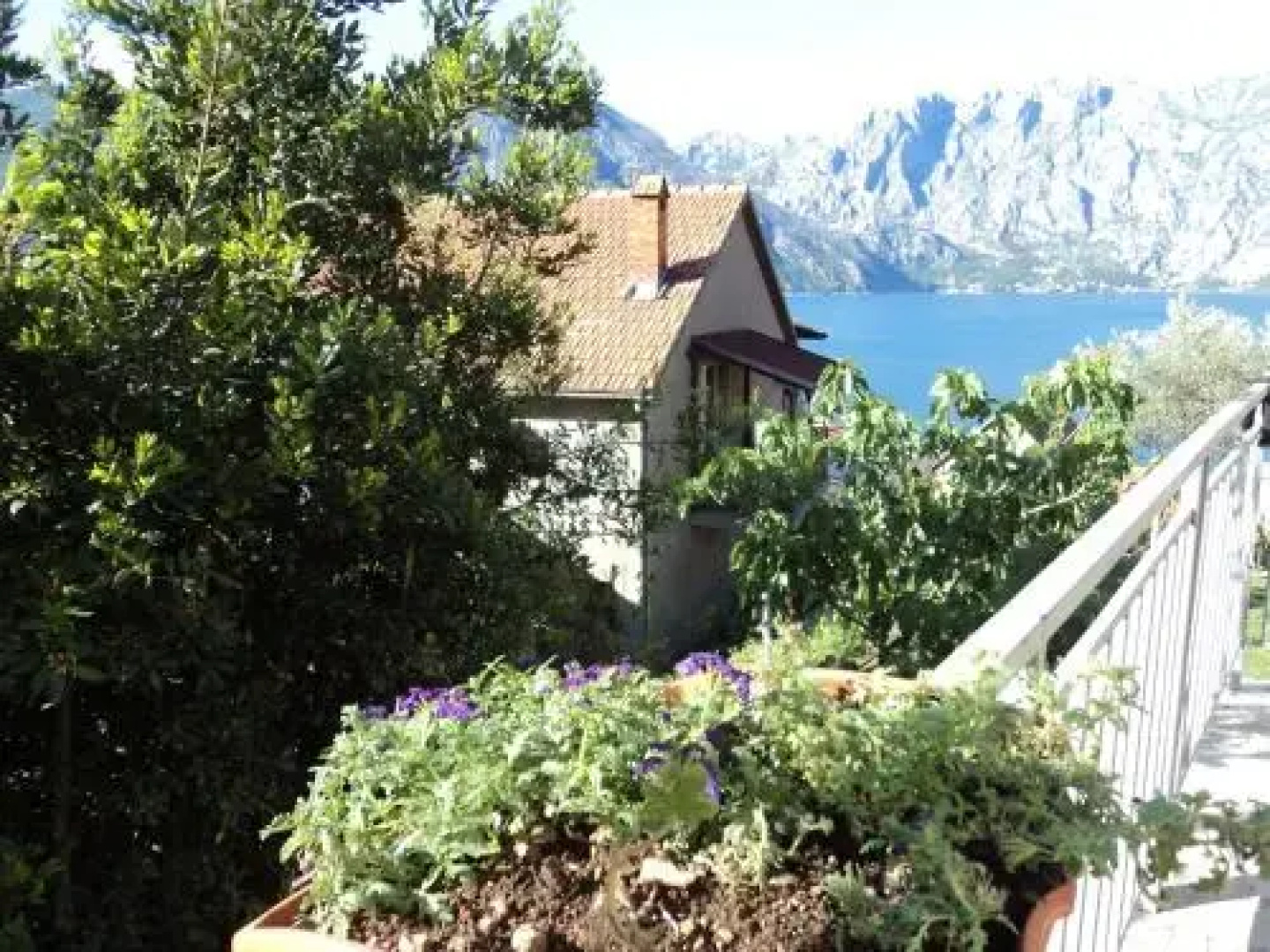 Guest House Pajovic