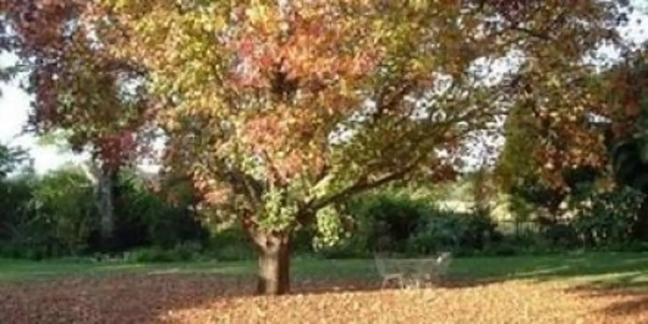 Masibambane Guest House