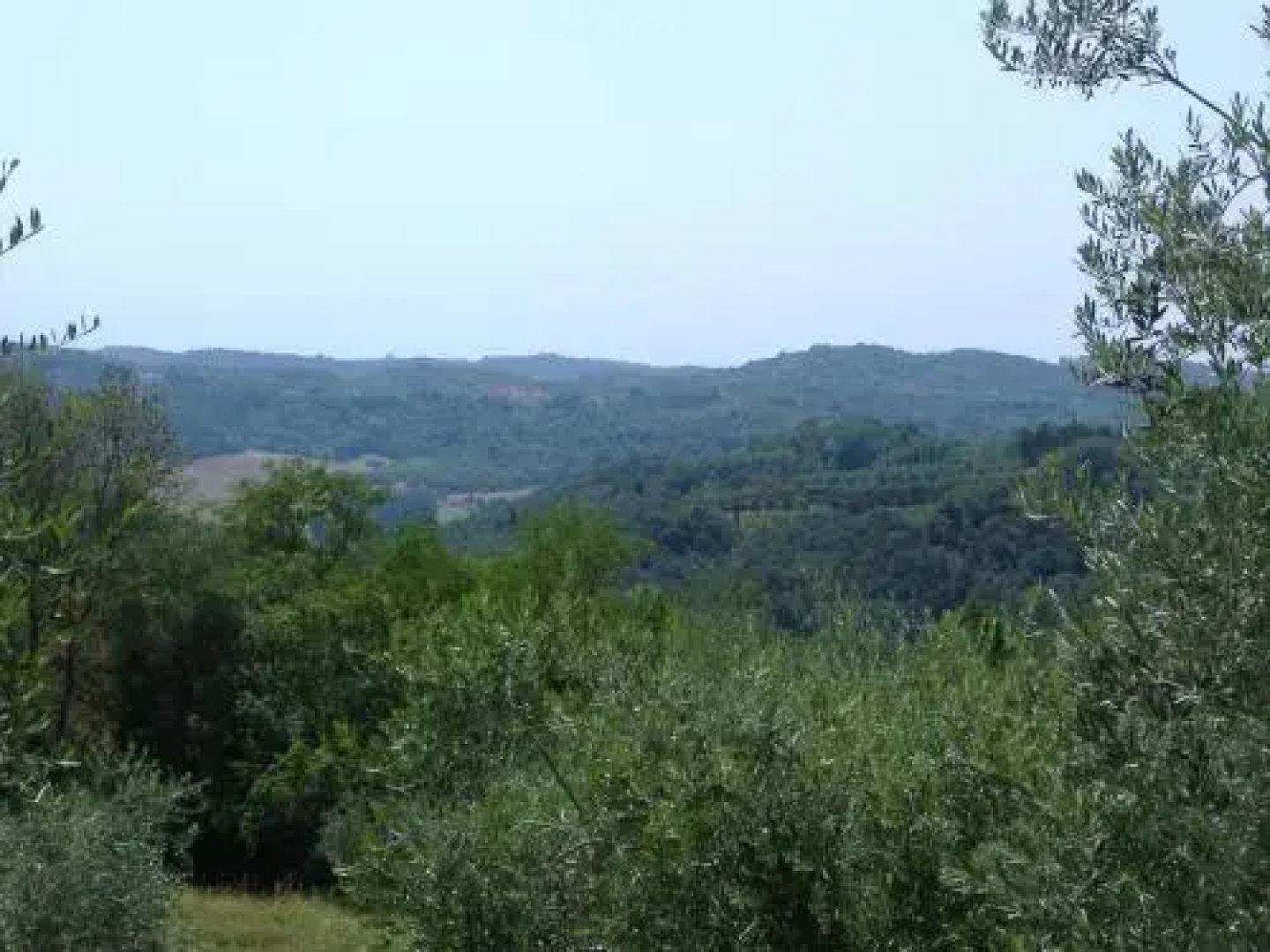 Collebrunacchi