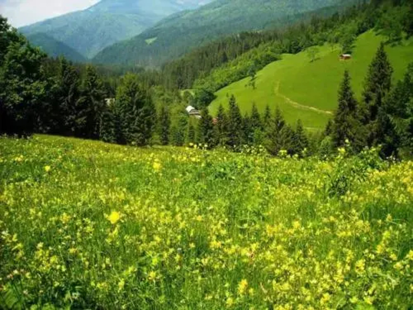 Casa Cristalina&Dumy