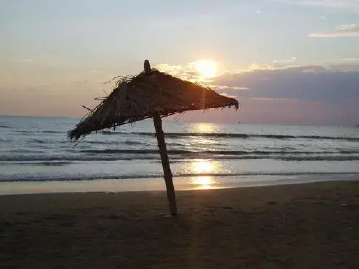 Hotel Dragoi Mbreteror