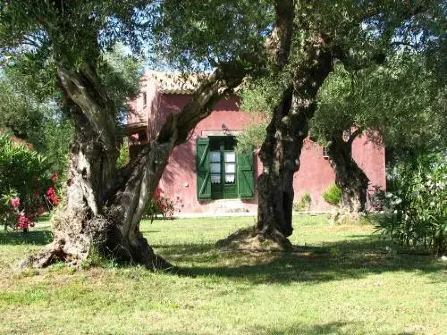 Logothetis Farm