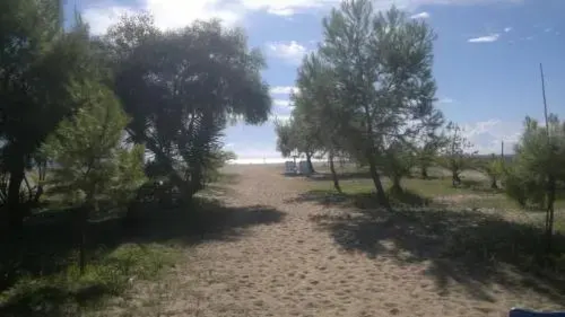 Cigno Bianco