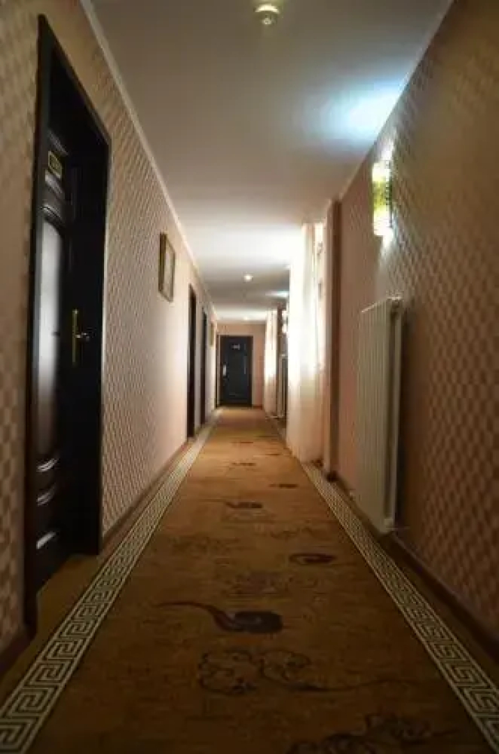 Elektra Vama Veche