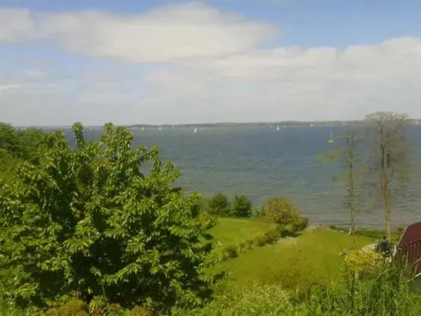 Ostsee Reetkate