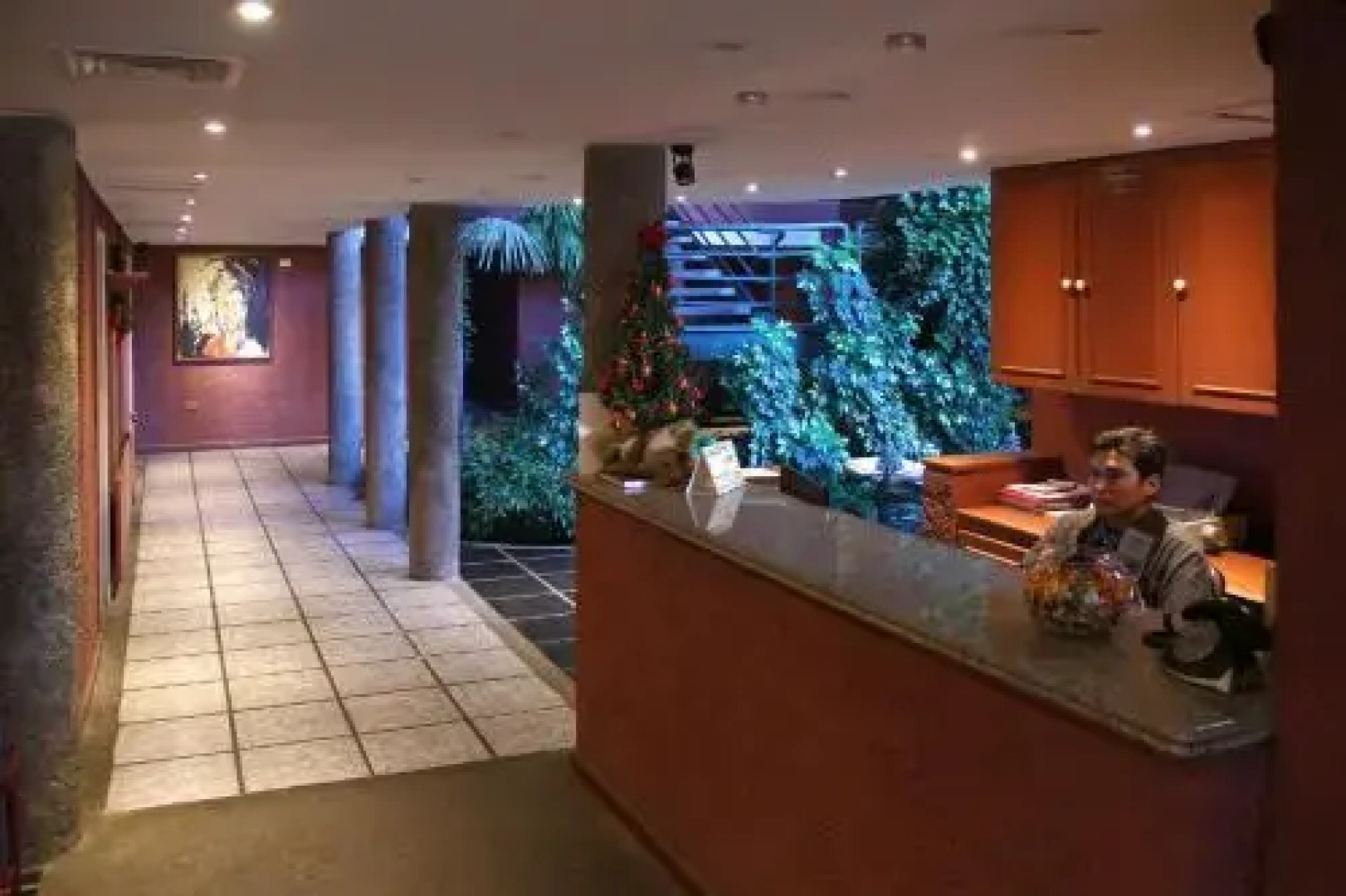 Hotel Palmas Express B&B