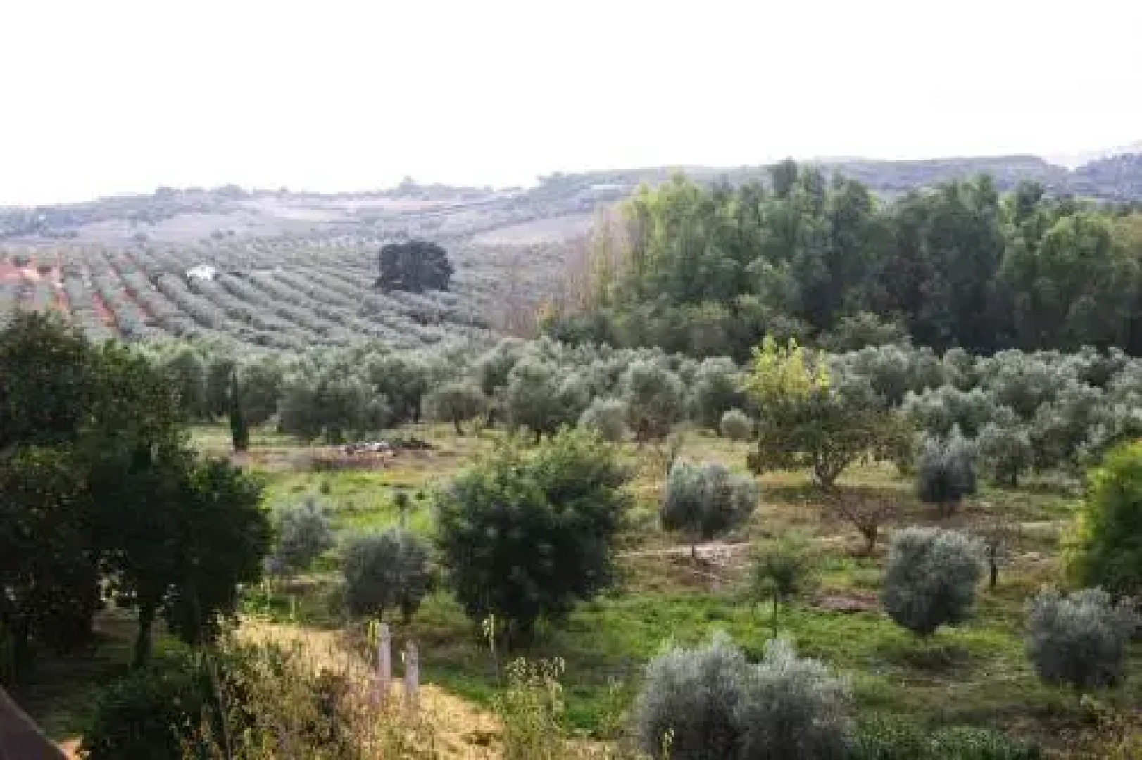 Casa Rural Faín Viejo