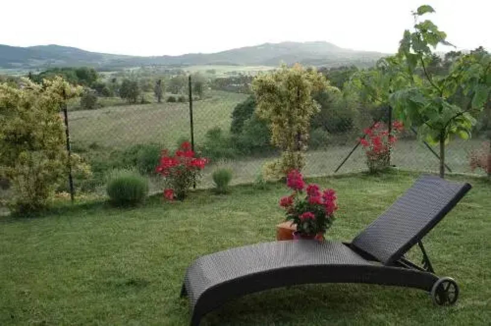 Casa la Pineta