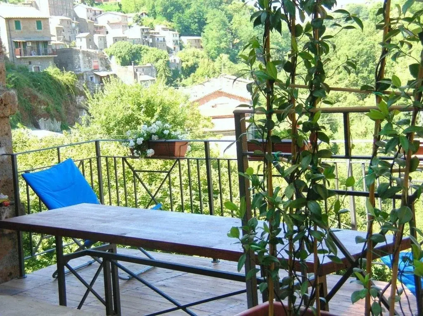 Torre Avellana