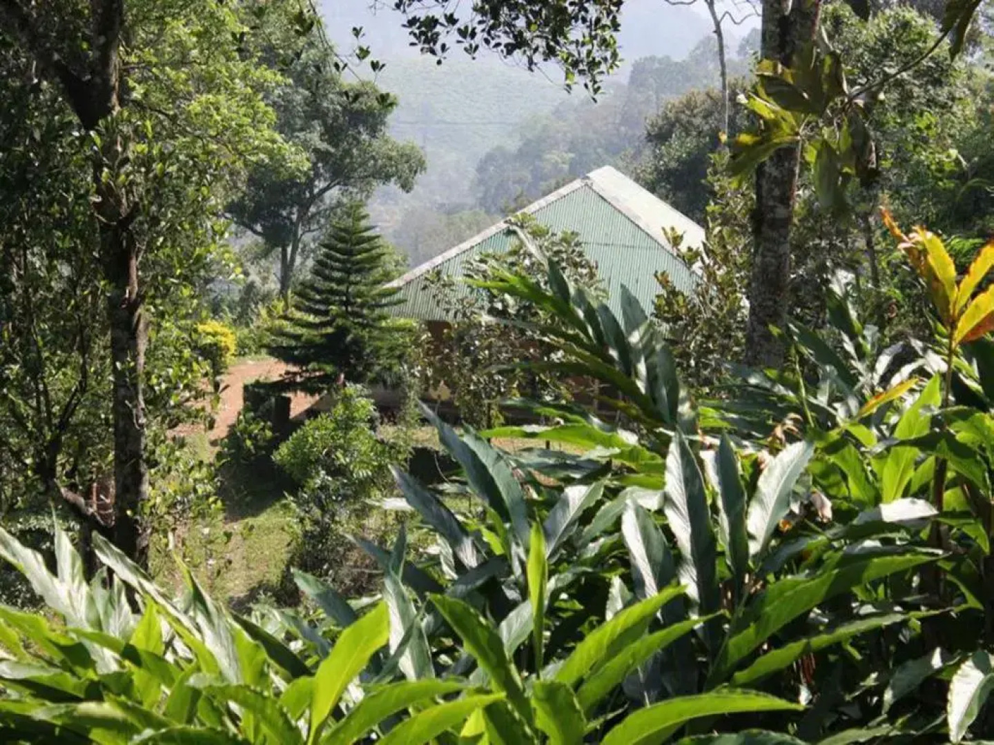 Morley's Place