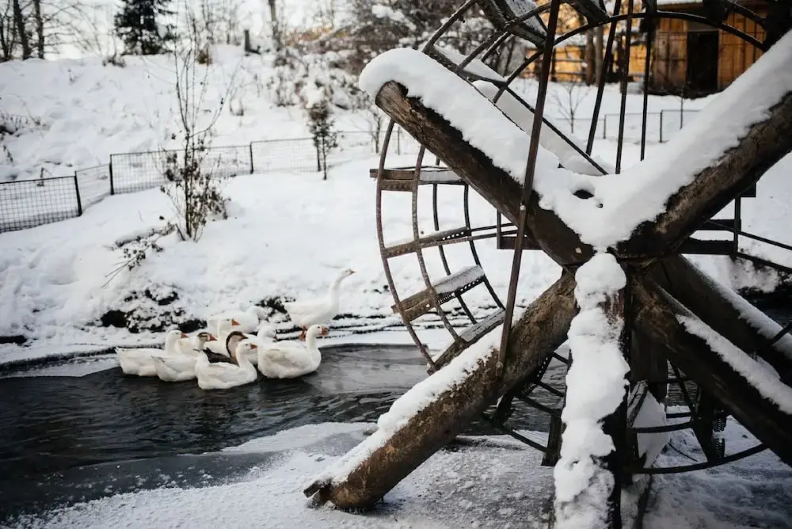 Peony Garden Guest House
