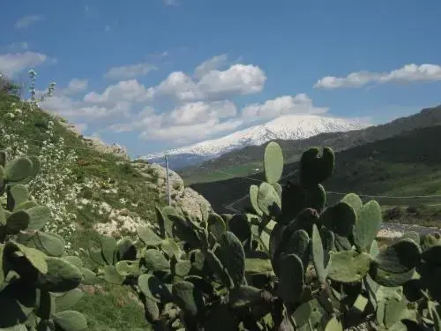Lo Scudiero Di San Teodoro