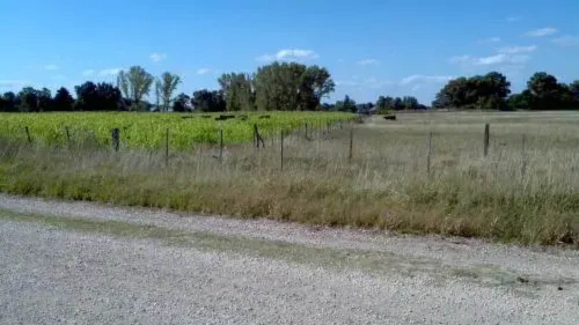 Las Tahonas