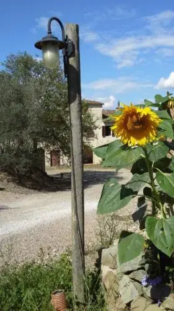 Fattoria Palaia