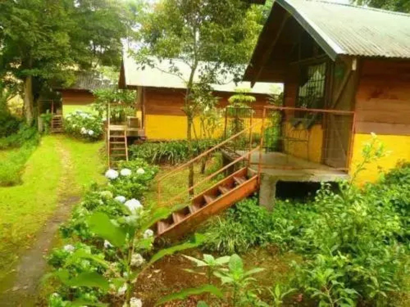 Cabanas Poas Jaulares