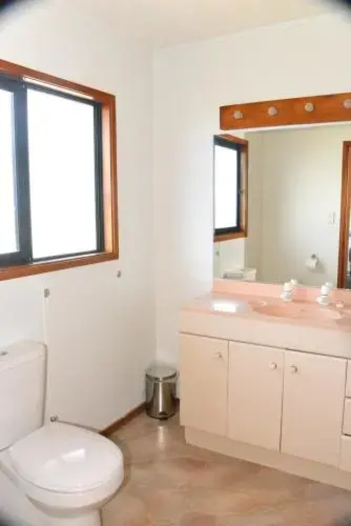 20 De Surville Road - Carrington Estate